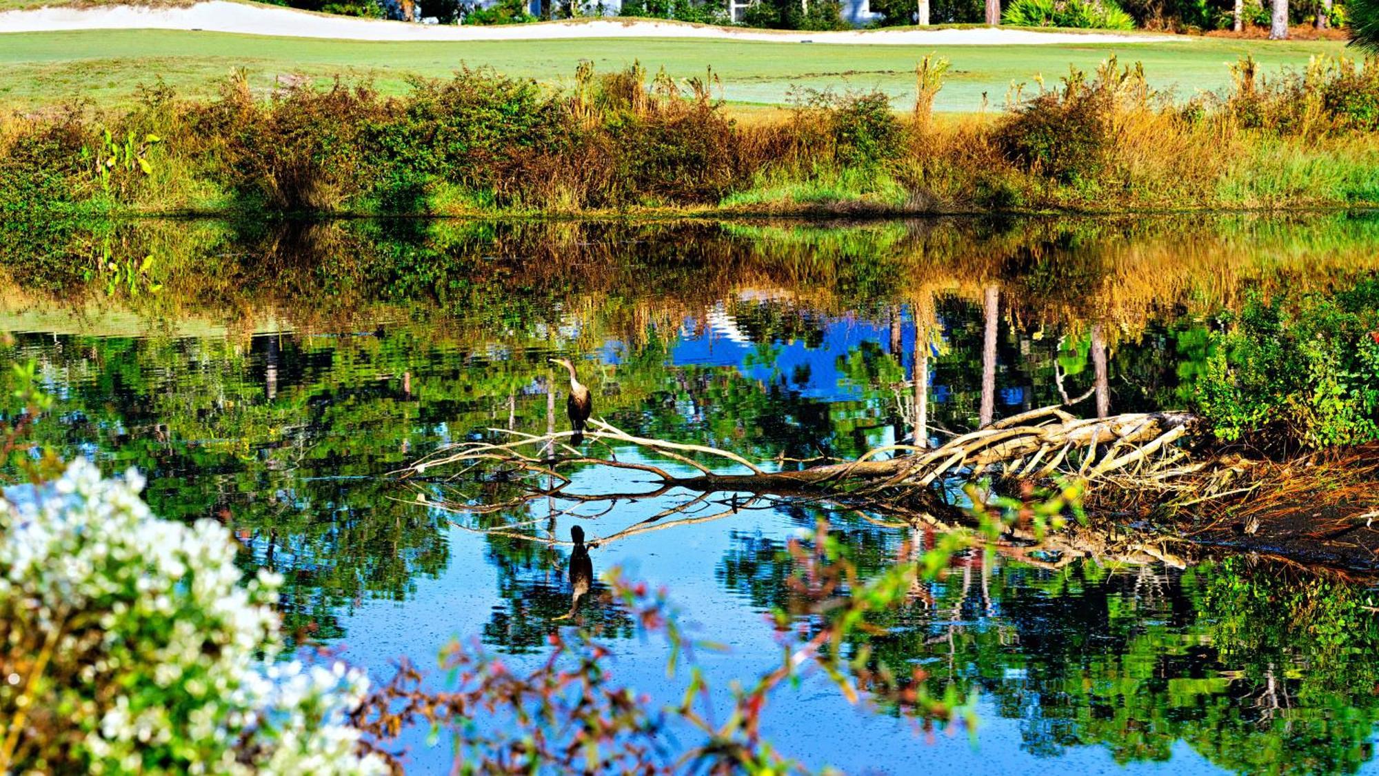 St James Bay Golf & Pickleball Resort Big Blackjack Landing Exteriör bild